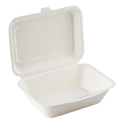 BAGASSE HINGED TAKEOUT CONTAINER 7''X5