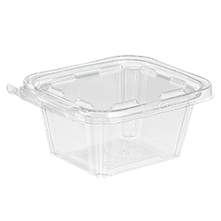 TEAR STRIP LOCK CLEAR HINGED CONTAINER 16OZ