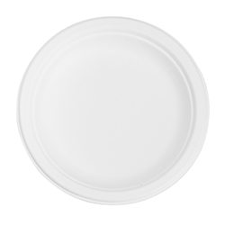 ASSIETTE EN BAGASSE 6